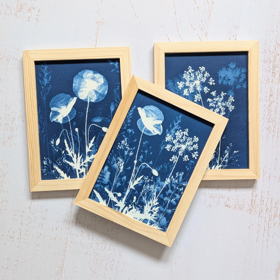 3 cyanotypes triptyque