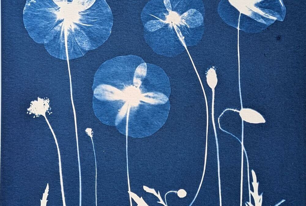 Comment faire un cyanotype maison facilement