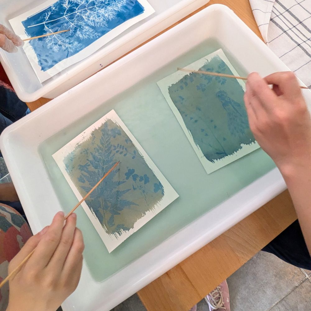 activité créative au soleil kit cyanotype