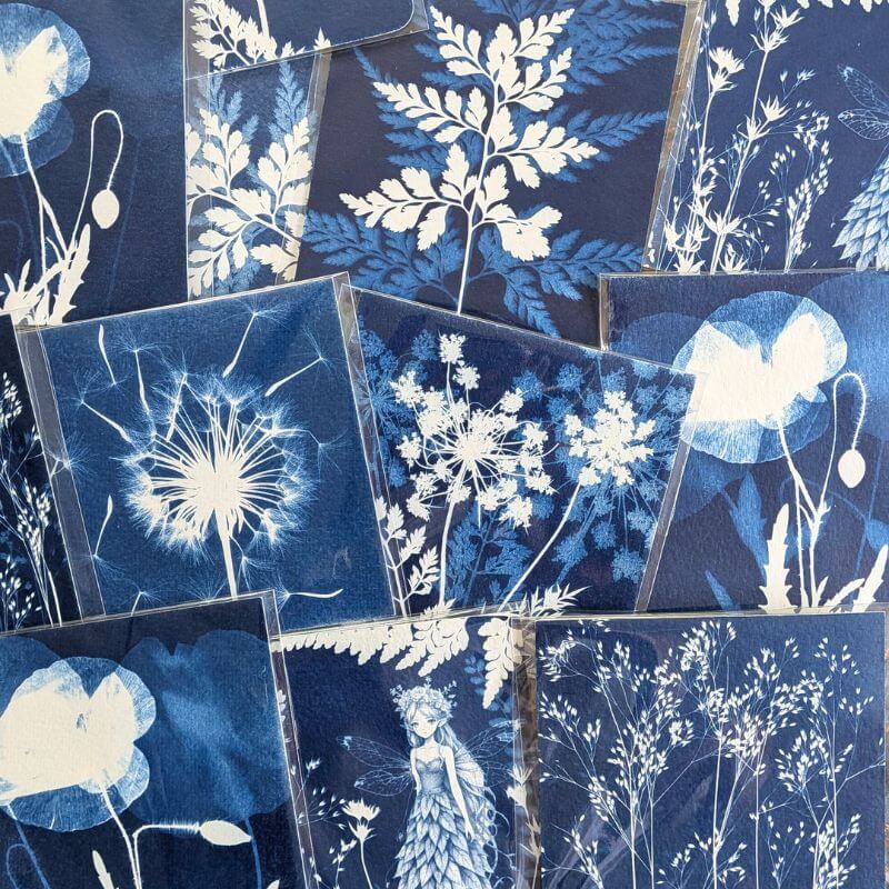 Cartes cyanotypes botaniques faites mains