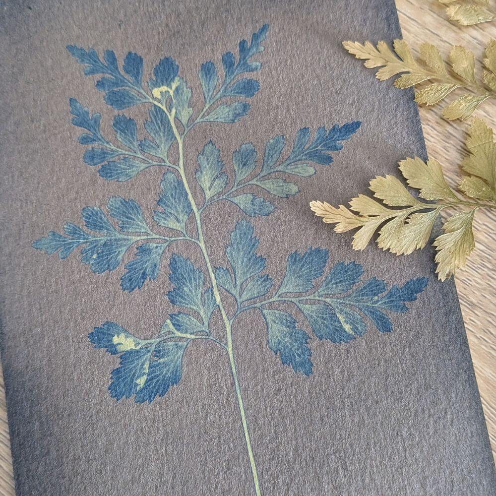 tirage cyanotype empreinte fougère feuille végétale