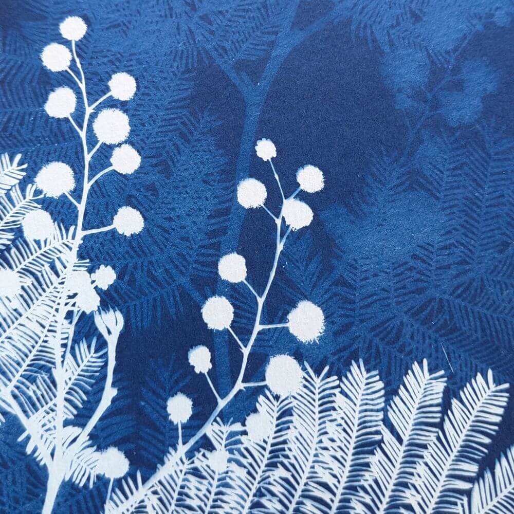 cyanotype botanique mimosa artisanal gros plan bleu de Prusse