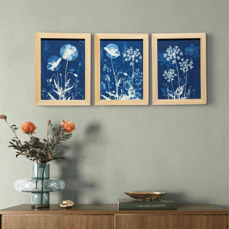Tirages cyanotypes encadrés décoration murale