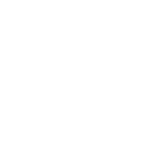 Logo blanc les paillettes by pepite